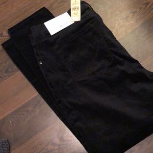 Loft Black Velour Petite Pants